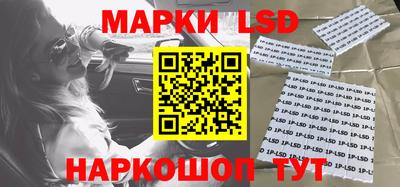 индика Новодвинск
