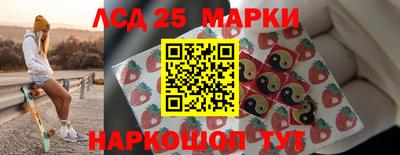 индика Новодвинск