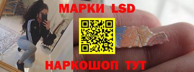 индика Новодвинск