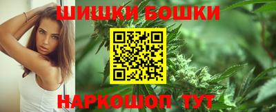 индика Новодвинск