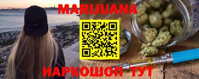 индика Новодвинск