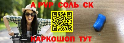 индика Новодвинск