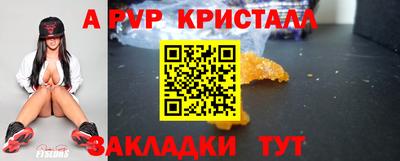 индика Новодвинск