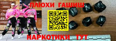 индика Новодвинск