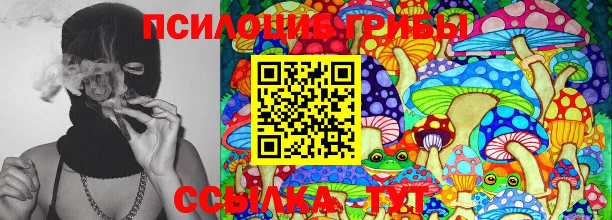Галлюциногенные грибы мицелий  Галлюциногенные грибы MAGIC MUSHROOMS  Тутаев  Вход с VPN 