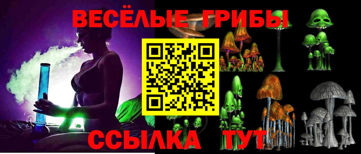 Псилоцибиновые грибы мухоморы Тутаев